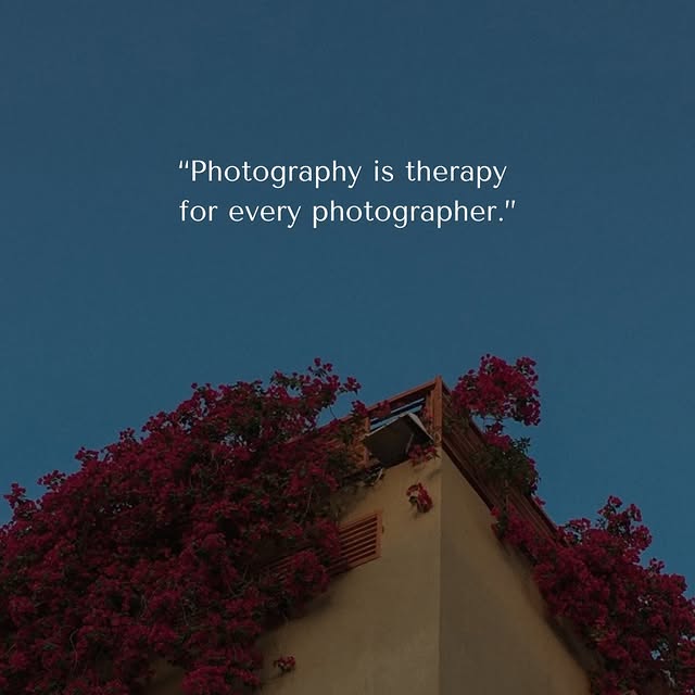  .........otography   'recent posts' 