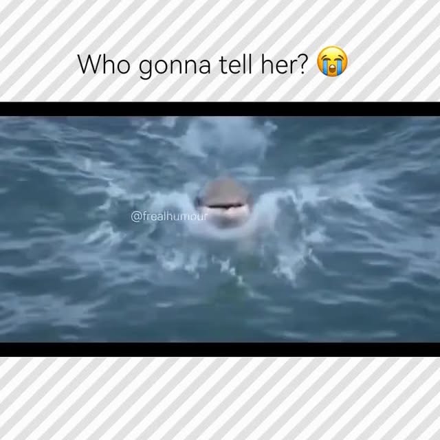  ......_viralz   'recent posts' 