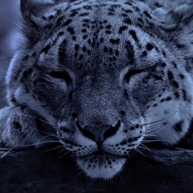  ......fehood   'recent posts' 