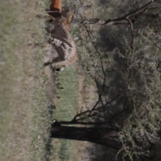  .........._sightings   'recent posts' 