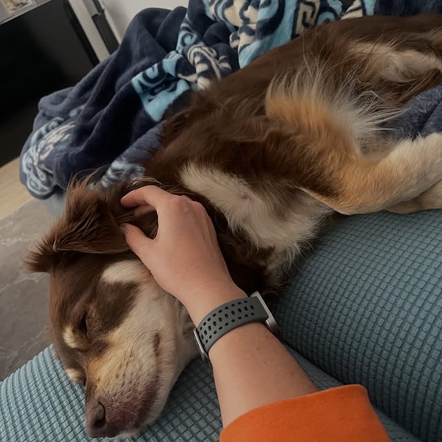  .....og2020   'recent posts' 