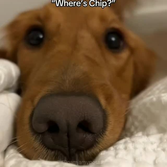  ....ofk9   'recent posts' 