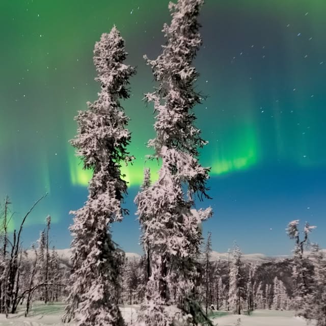  ......dchichi   'recent posts' 