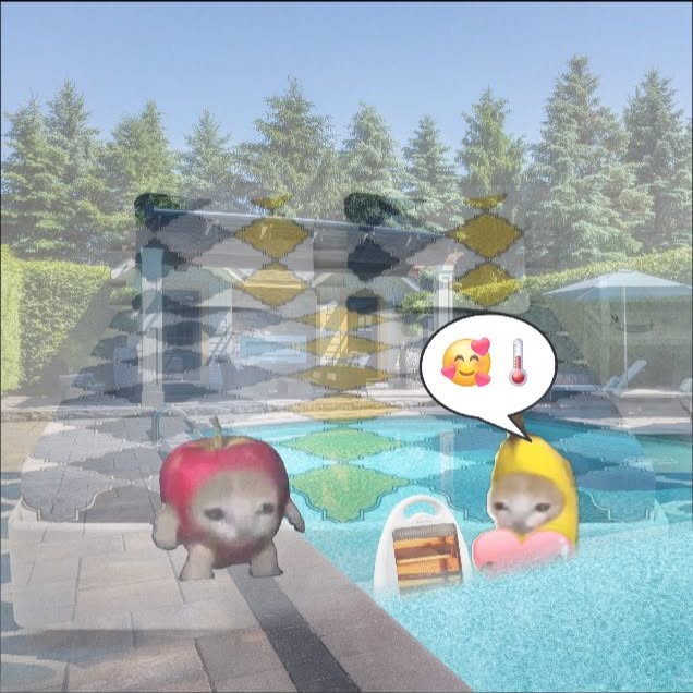  ......anacat   'recent posts' 