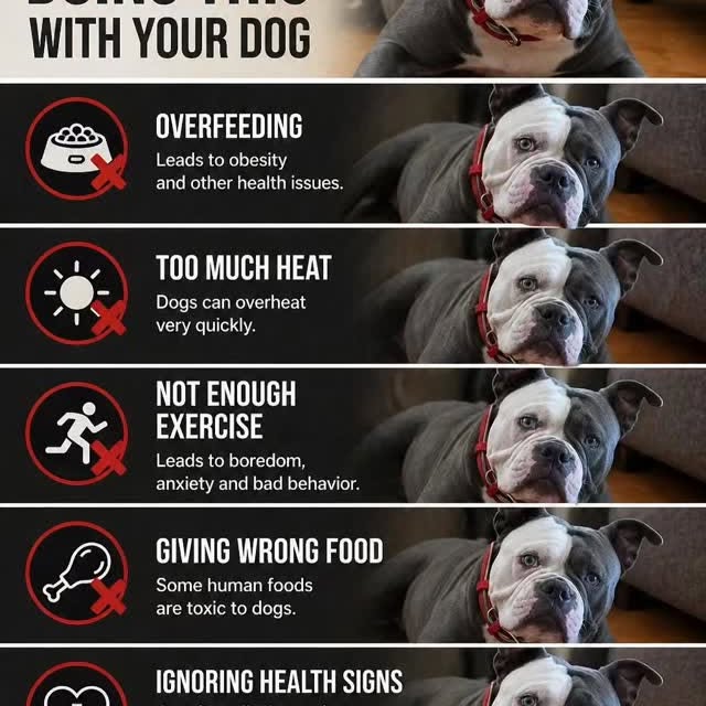  ..........ldogs_only   'recent posts' 