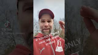  .......Brewery  'recent videos' 