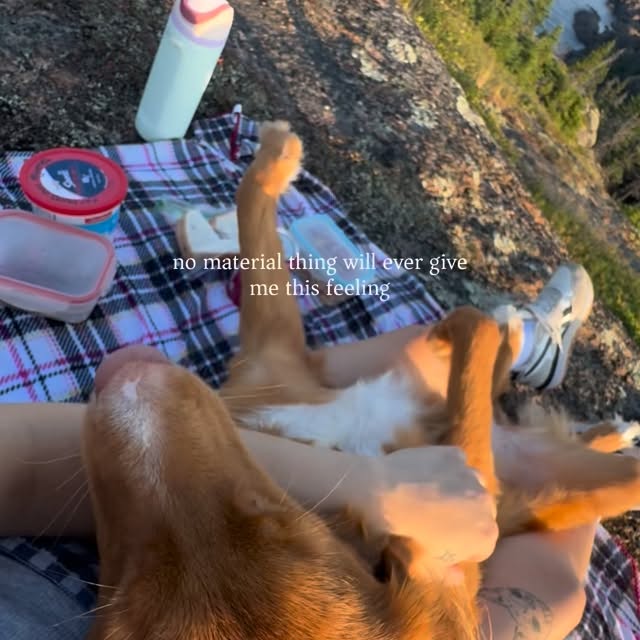  ......atoller   'recent posts' 