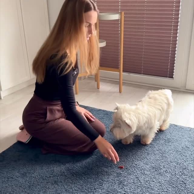  ......dzenia   'recent posts' 