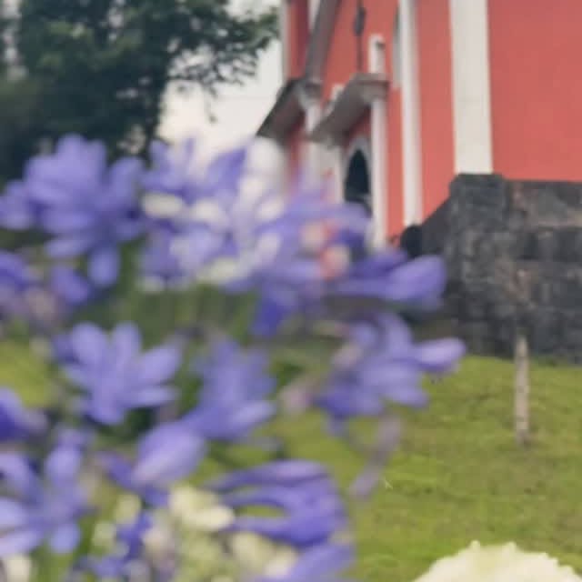  .........dornewsmx   'recent posts' 