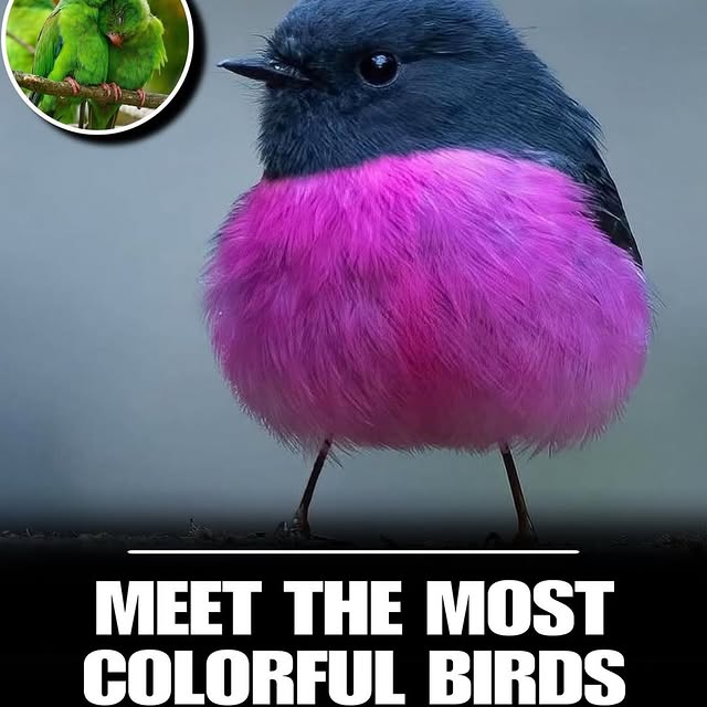  .......refervor   'recent posts' 