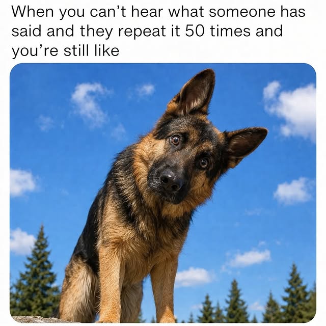  ......rposts   'recent posts' 