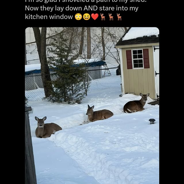  ............ttheinternet   'recent posts' 