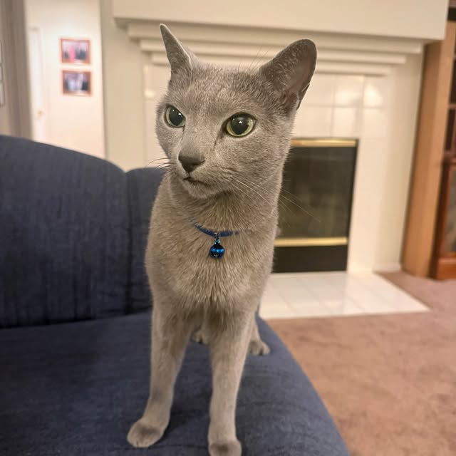  ......n_boris   'recent posts' 