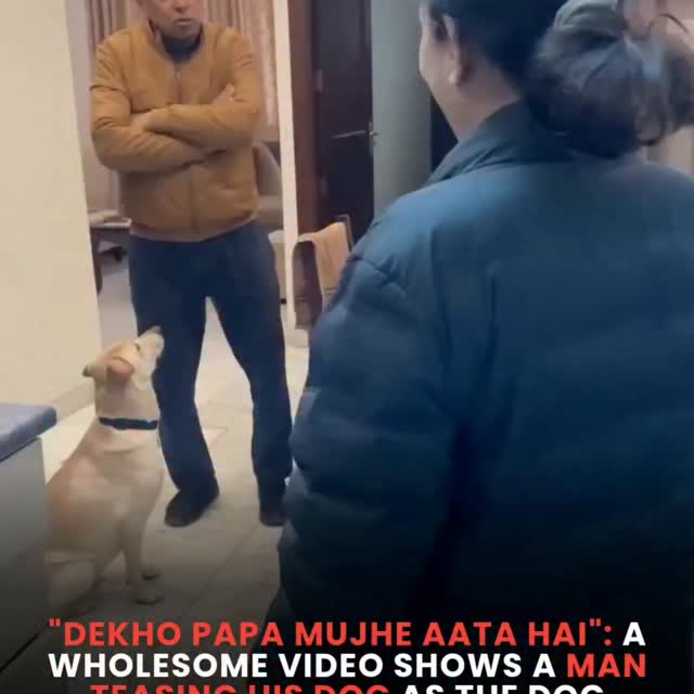  .........terslinked   'recent posts' 