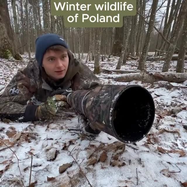  ......fehood   'recent posts' 