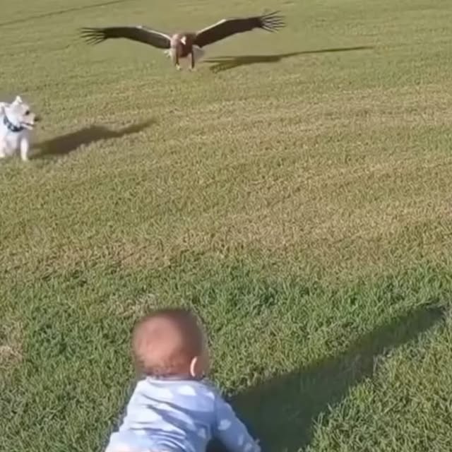  ....t.exe   'recent posts' 