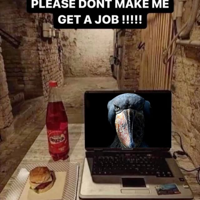  ..........rdoftheday   'recent posts' 