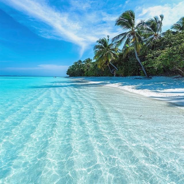  .....xplore   'recent posts' 