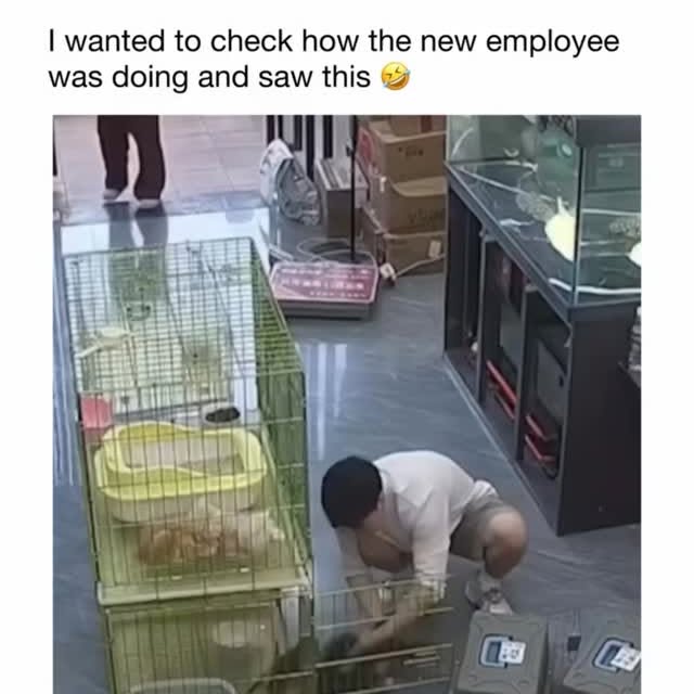  .....sarena   'recent posts' 