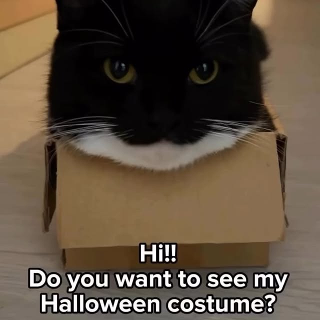  .....li9ht   'recent posts' 