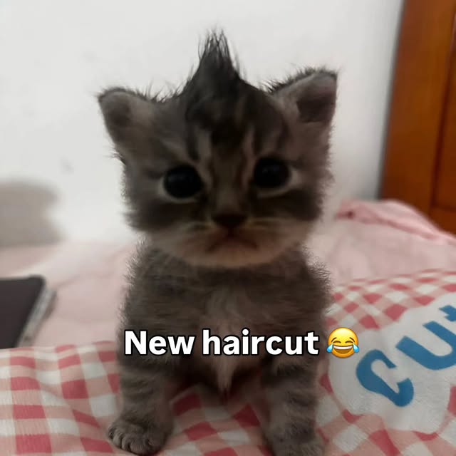  ......nd.kits   'recent posts' 