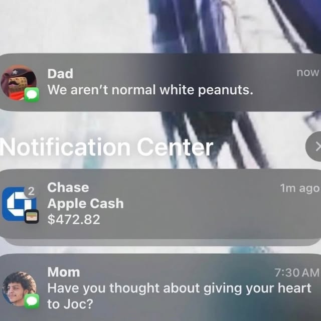  ....memes   'recent posts' 