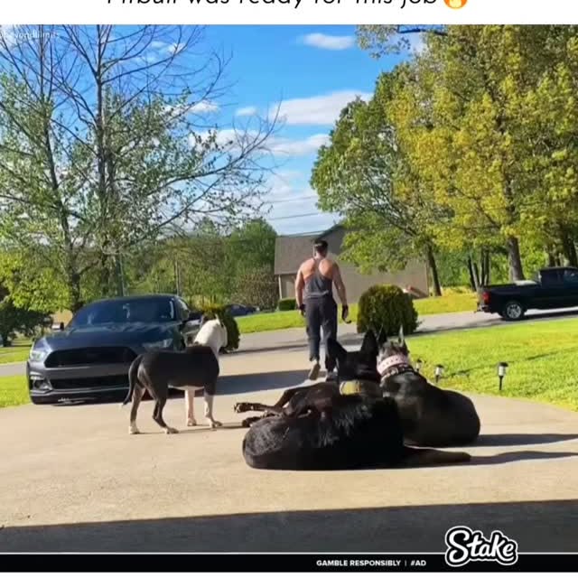  ......liimits   'recent posts' 