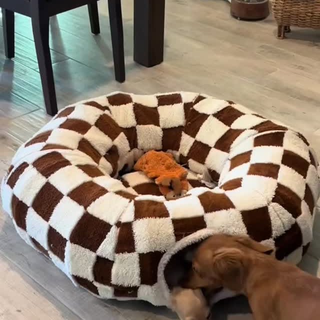  ..........fan.club_   'recent posts' 