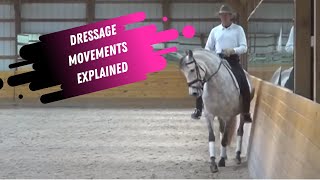  .....ageHub  'recent videos' 