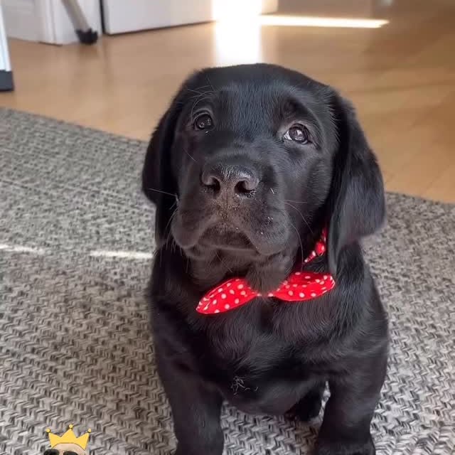  .......r_class   'recent posts' 