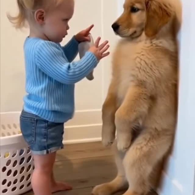  ......orable   'recent posts' 