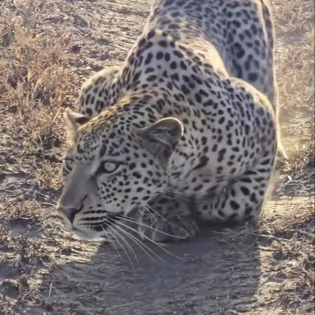  ........unlocked   'recent posts' 