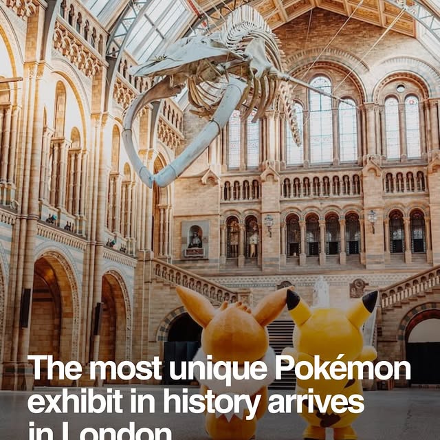  ....dose   'recent posts' 