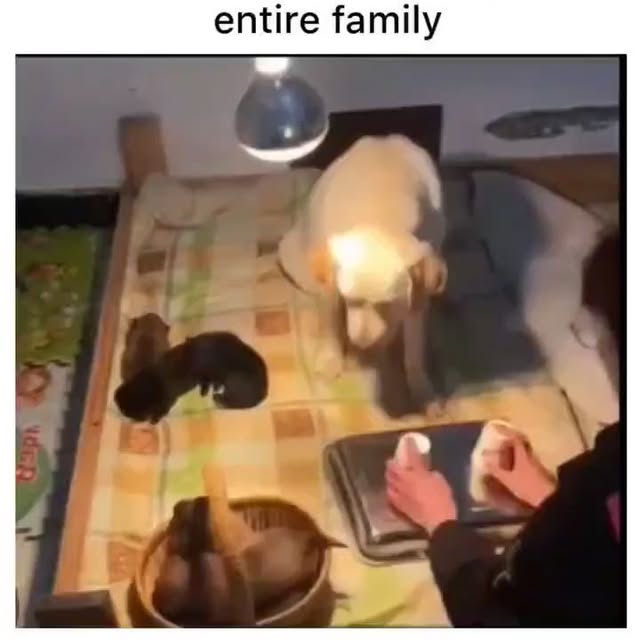  .....ibess   'recent posts' 