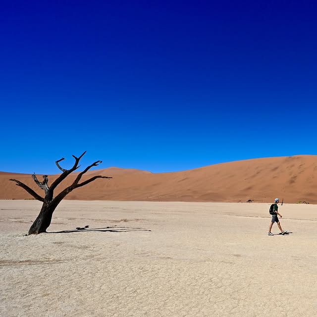  ........reisen   'recent posts' 