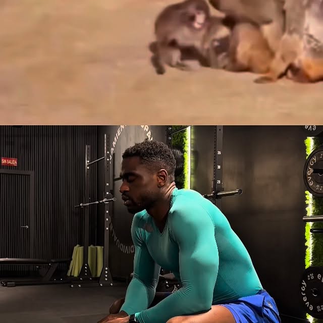  .....zworld   'recent posts' 