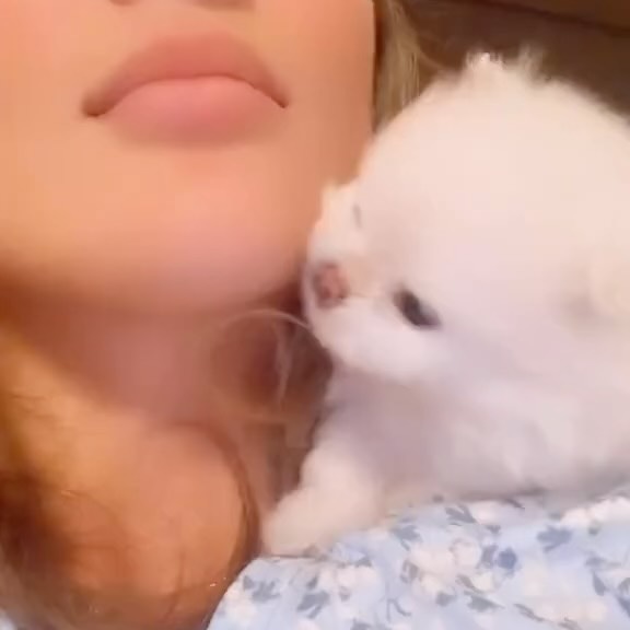  .....paw   'recent posts' 