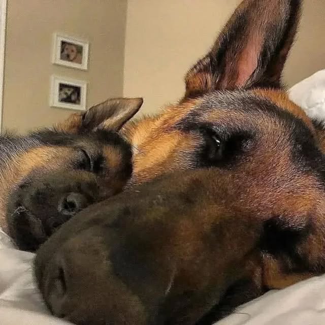  ....iming   'recent posts' 