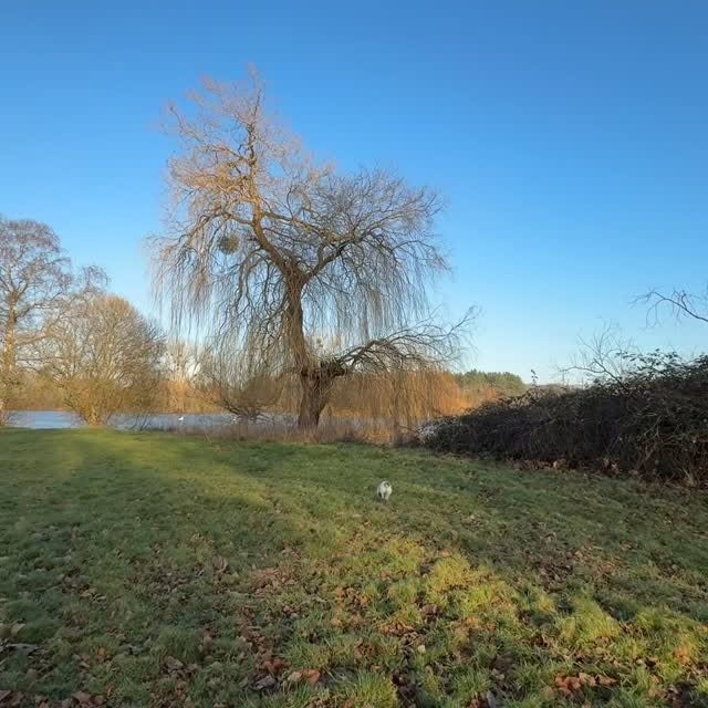  .......sell_luc   'recent posts' 