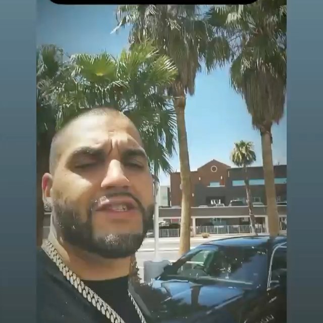  ........tingidol   'recent posts' 