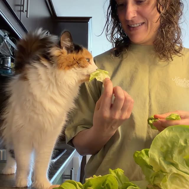  .........tofficial   'recent posts' 