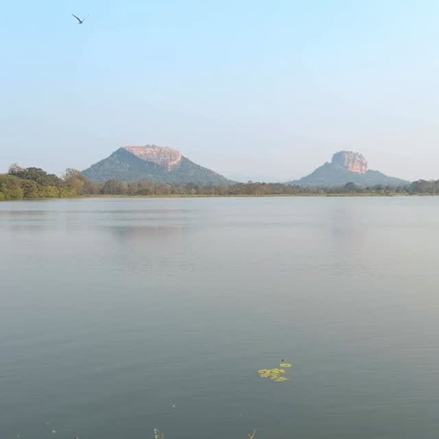  ......lacarte   'recent posts' 