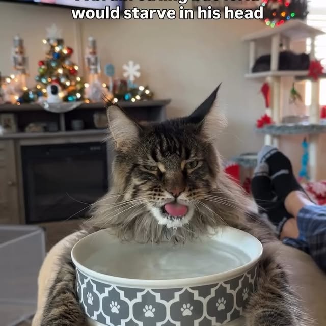  .....li9ht   'recent posts' 