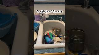  .......byjamie  'recent videos' 