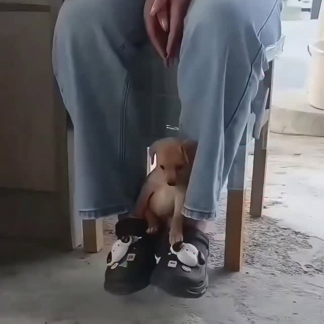  ......psworld   'recent posts' 