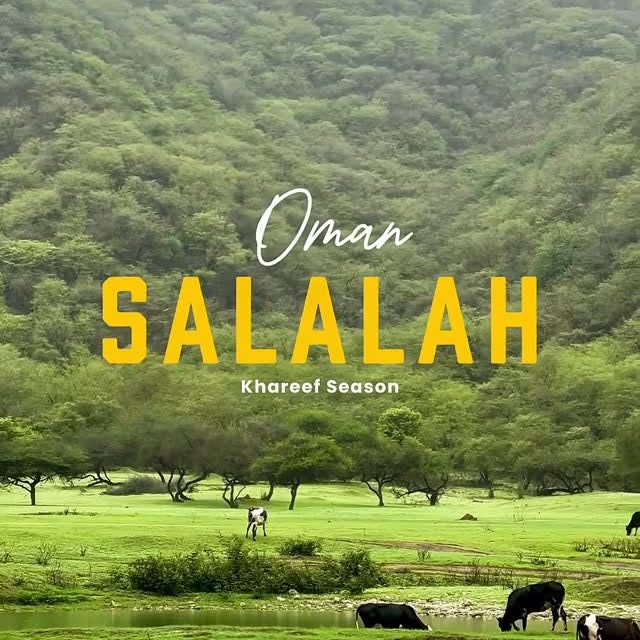  ......fitspo   'recent posts' 