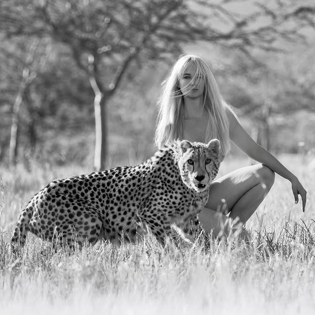  .......vemorton   'recent posts' 