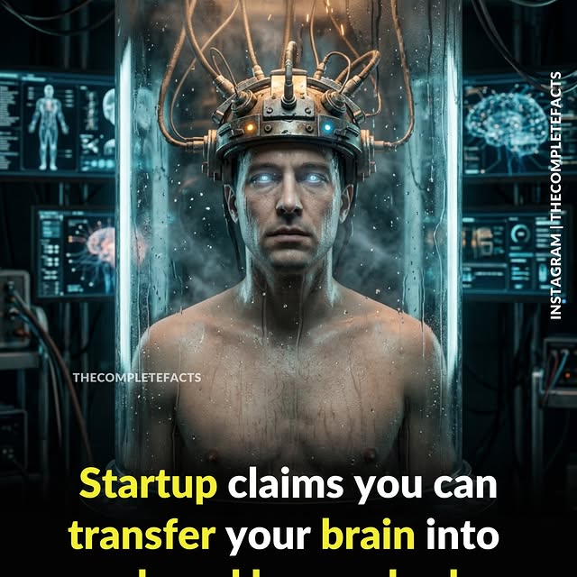  ........etefacts   'recent posts' 