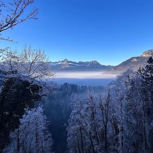  .........rancaises   'recent posts' 