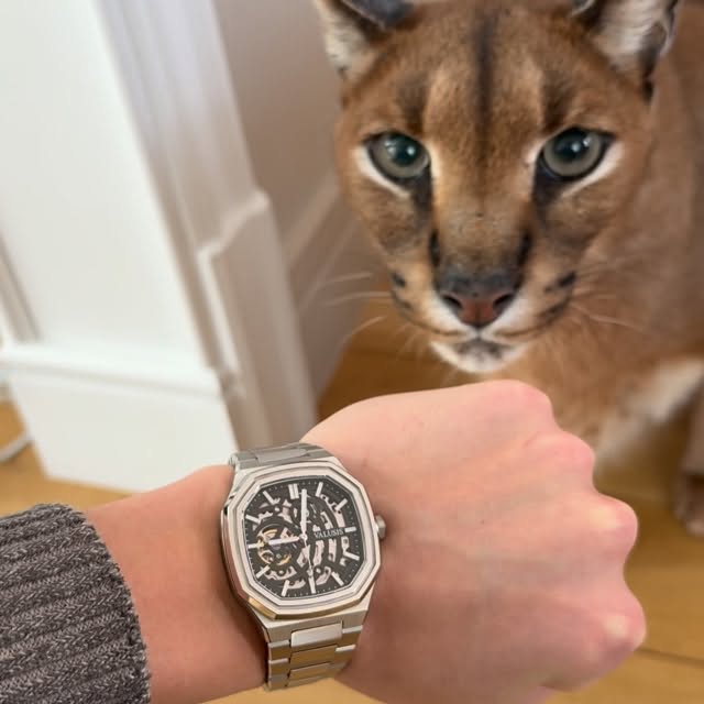  ......aracal   'recent posts' 